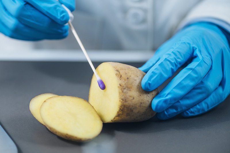 badanie ziemniaka